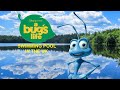 A Bug S Life Swimming Pool In The UK 2001 Opening Logos