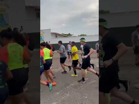 O Movimento Ensina | Harpia Ciência & Biotecnologia em Observação #palmastocantins