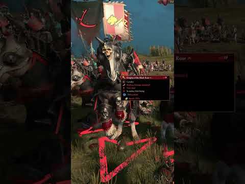 What do KNIGHTS OF THE BLACK ROSE do for the Empire? #totalwar #warhammer