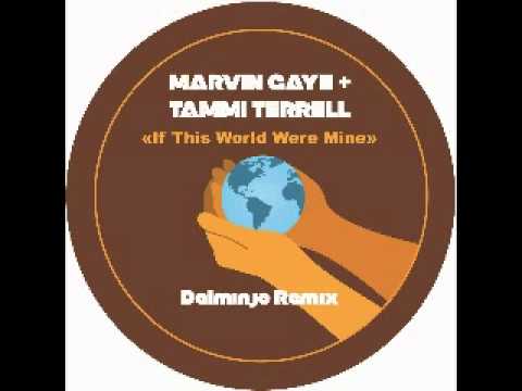 Marvin Gaye + Tammi Terrell - If This World Were Mine (Dalminjo Remix)