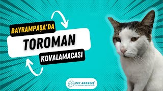 "Toraman" ile ufak bir kovalamaca! | Pet Address Bayrampaşa Veteriner 