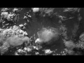 Echoes - Honour Lost | Official Video 