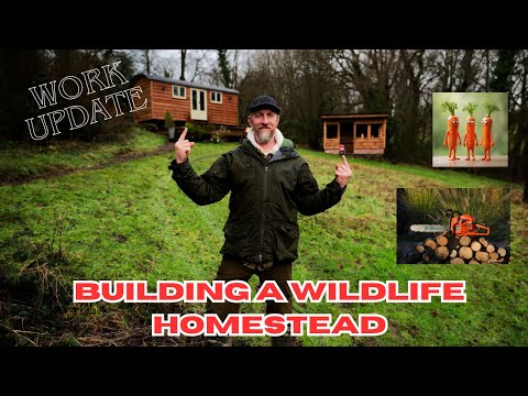 Homestead Update - Shepherds Hut Build - Tree Felling