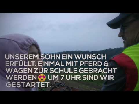 Das besondere Schultaxi - Die Fuhrhalterei