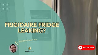 Frigidaire Fridge Leaking? 5 Easy DIY Fixes (Save $400!)