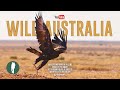 Secrets Of The Outback Australia S Harshest Wilderness Full Documentary 4K