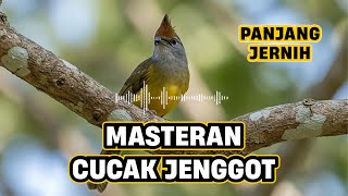 Download lagu MASTERAN CUCAK JENGGOT | MASTERAN WAJIB FULL MBESET JERNIH mp3