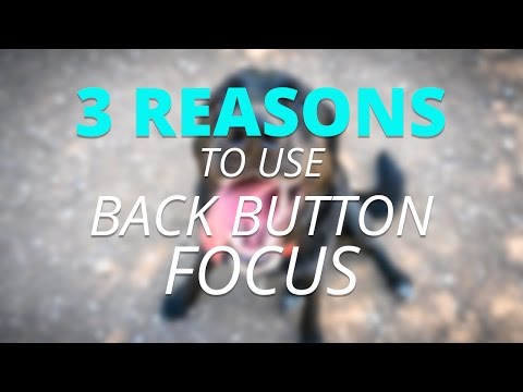 3 Reason to Use Back Button Focus - Any Back Button Focus Camera