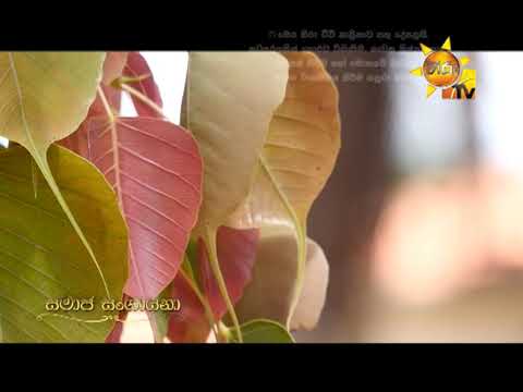 Hiru TV