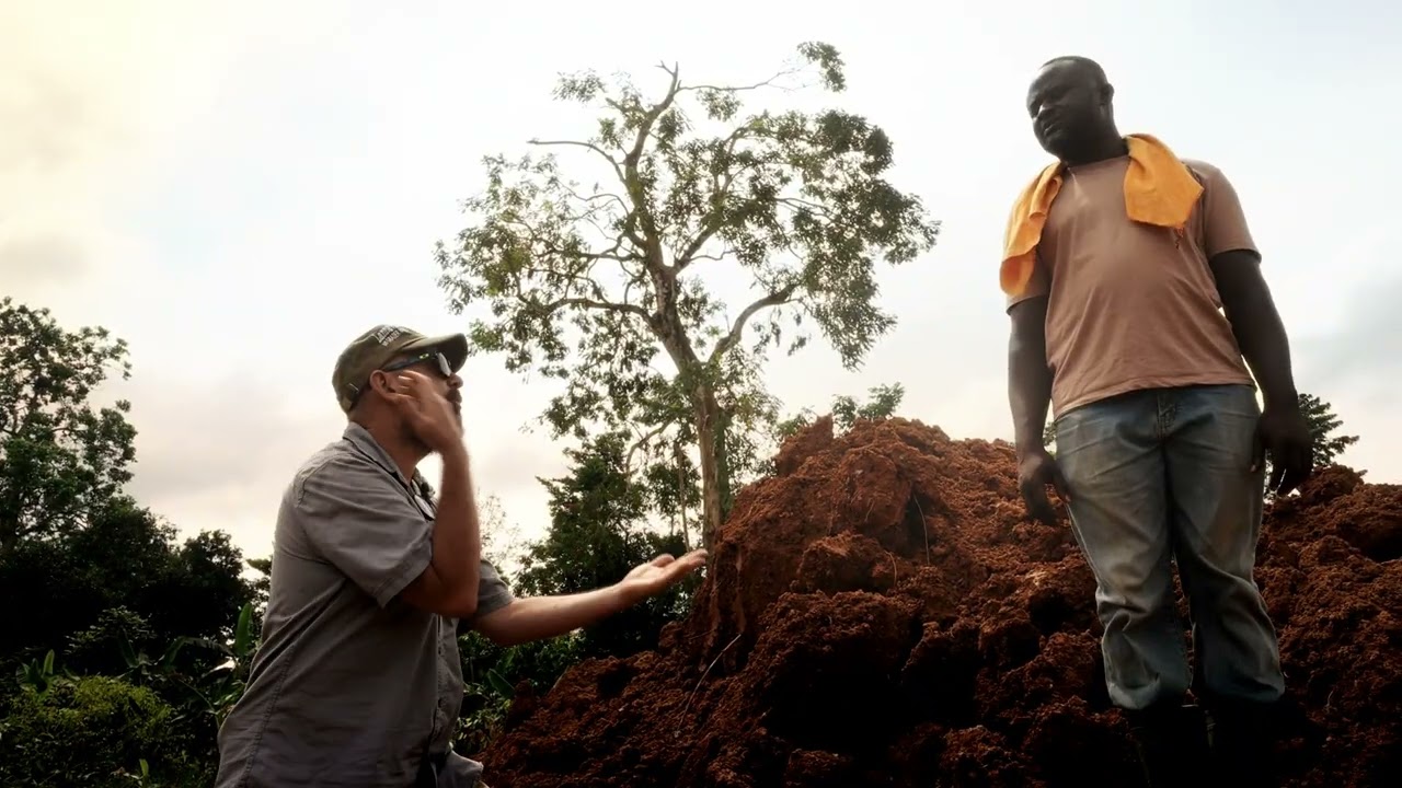 Trailer för Guldvaskaren från Lannavaara