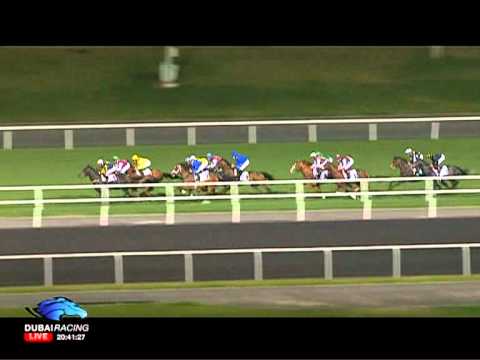 21.01.2012 Meydan (Dubai UAE) 5.Race Al Naboodah Construction Group - Handicap 1.600 m