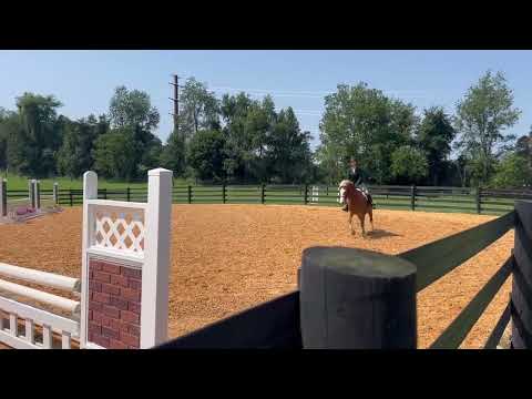 Loafer’s Lodge BowTie video 1