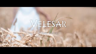 VELESAR - Polny wiatr (Official Music Video 4K)