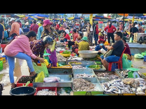 Amazing Site Fish Distribution At Chhar Ampor Market In Phnom Penh of Cambodia