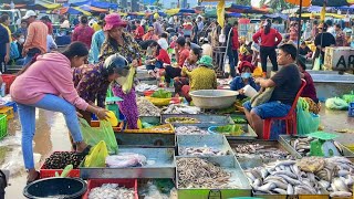 Amazing Site Fish Distribution At Chhar Ampor Market In Phnom Penh of Cambodia