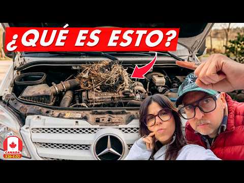😳 ENCONTRAMOS ESTO EN EL MOTOR DE LA FURGONETA