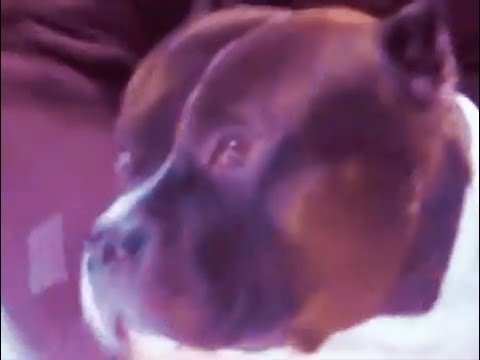 El mejor (con Kiddo Toto)