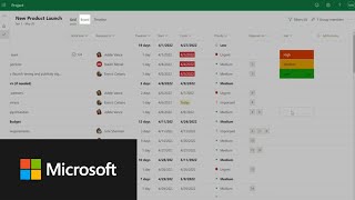 Microsoft Project Video
