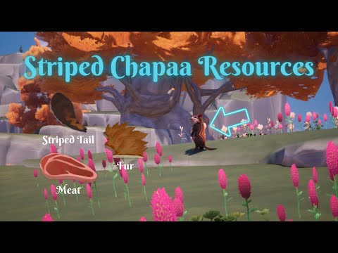 Striped Chapaa Resources | Palia