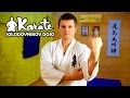 Техника кекусинкай каратэ 8 кю /Technique Kyokushinkai karate 8 Kyu ...