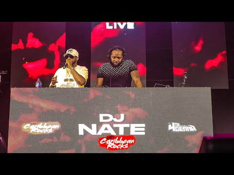 Live 2025 Dancehall Set | DJ Nate @ Caribbean Rocks (Chronic Law, Valiant, Vybz Kartel, Armanii)