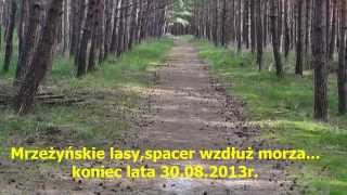 preview picture of video 'Spacer - 30.08.2013r. Mrzeżyno'