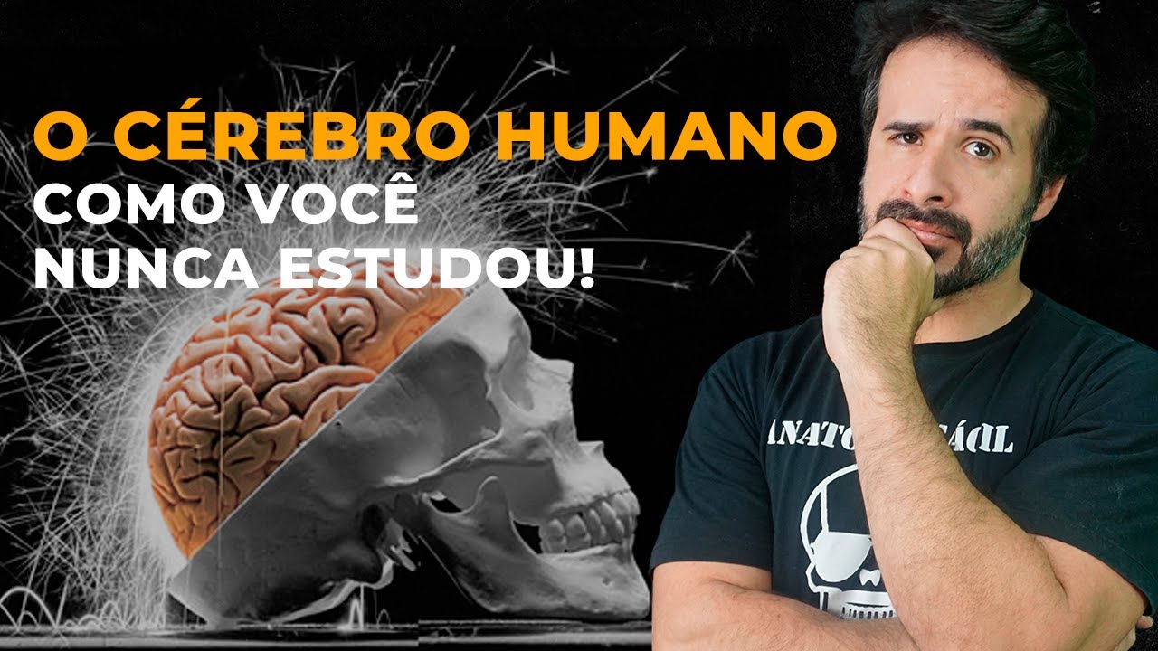 O CÉREBRO HUMANO COMO VOCÊ NUNCA ESTUDOU!
