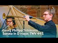 G. Ph. Telemann: Sonata in D major, TWV 44:1 – Bremer Barockorchester