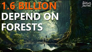 ALL Types of FORESTS and why they are so important 🌲