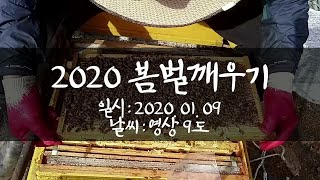 2020 봄벌깨우기, 화분떡 급이, 소비축소, 보온추가