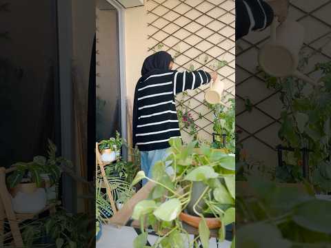 നാട്ടിൽ പോയി വരാം….😇