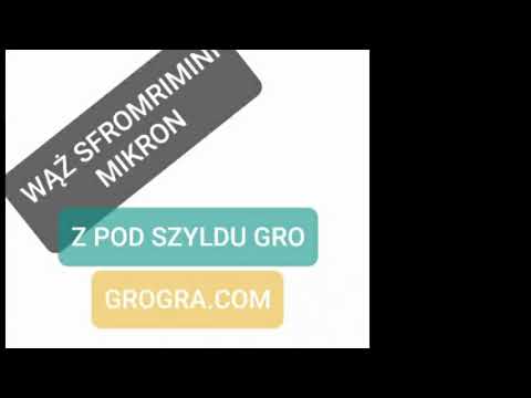MIKRON x WĄŻ SFROMRIMINI - SPOD SZYLDU GRO (muz. KOfSON PROD.)