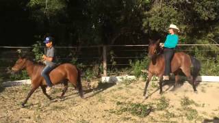 Como Andar de Cavalo no Pelo