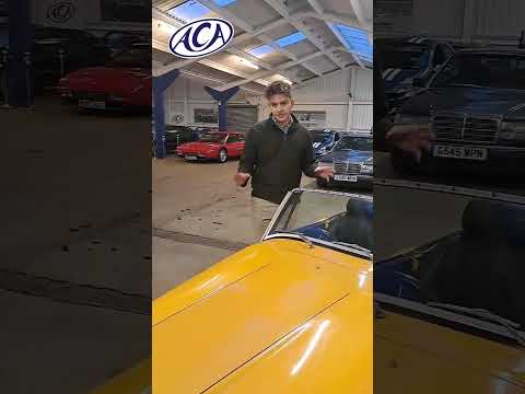 Thumbnail for 1979 Panther Lima