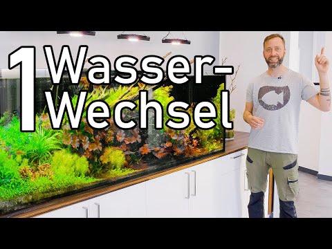 Aquarium ohne Wasserwechsel betreiben? 1000l Aquascape