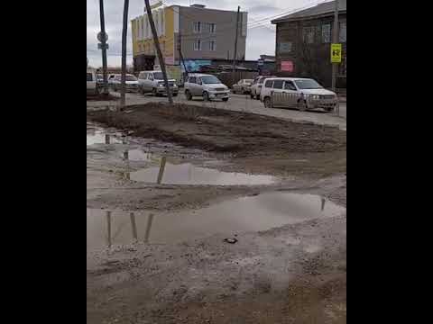 В Якутске на проезжей части сбили косулю В Якутске на проезжей части сбили косулю