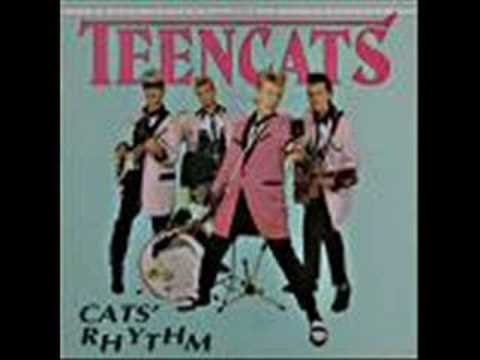 Teencats - Hey babe