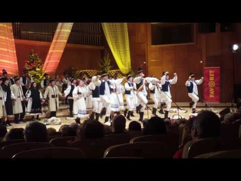 Concert Sala Radio "Junii Crișului din Dieci"