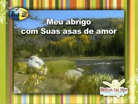 DVD Jovem 2009 - Minha Segurança