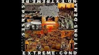 Brutal Truth - Extreme Conditions Demand Extreme Responses (1992) [Full Album]
