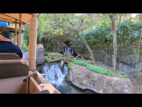 Kilimanjaro Safari ride in the early morning at Disney's Animal Kingdom