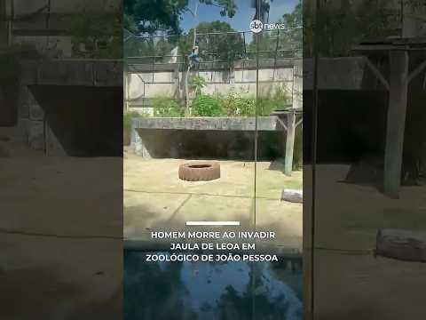 Homem morre ao invadir jaula de leoa em zoológico de João Pessoa (PB)