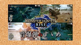 【MHRise】5分でわかる音爆弾のすゝめ。 音爆弾効果有モンスター＆モーションまとめ（ゆっくり実況）モンスターハンターライズ