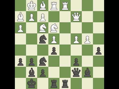 Pirc Defense: 2.d4, Event European Corporate Chess Championship 2022,White Max Warmerdam,Black Davi