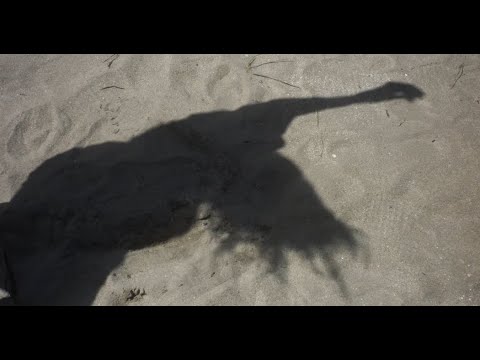 Klaas - Not Going Home