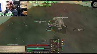 Dragon Wilds Runescape BUT BETTER???
