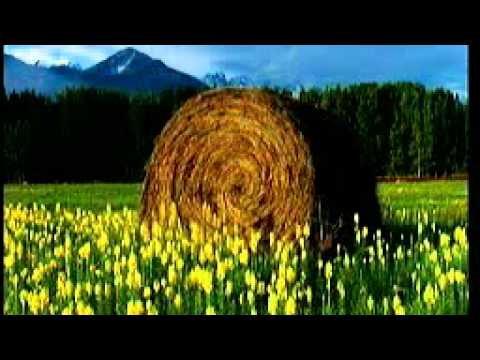 Alperose Polo Hofer Karaokeversion mit Magic - Sing