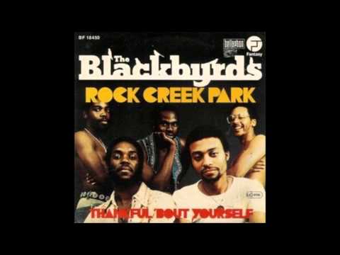 Blackbirds - Rock Creek Park - JOHN MORALES M&M MIX
