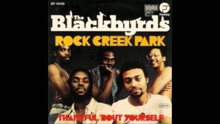 Blackbirds - Rock Creek Park - JOHN MORALES M&M MIX