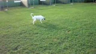 Hank's Little Finger